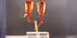 Scientists Develop a Two-legged Robot Driven by Muscle Tissue