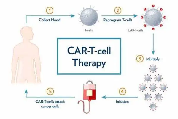 Scientists develop a low-cost device to make cell therapy safer