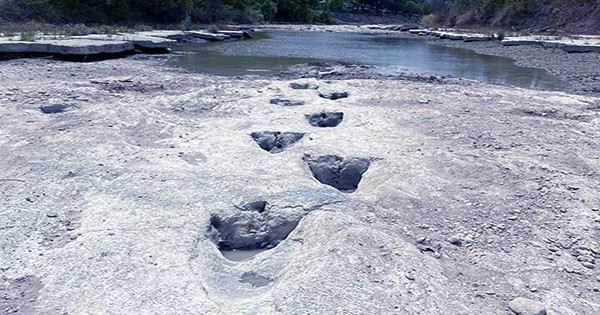 Dig Site Finds Imply That Prehistoric Painters May Have Been Influenced by Fossilized Dinosaur Footprints